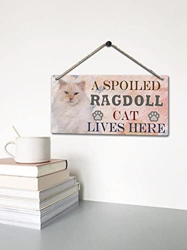 חתול Ragdoll מפונק חי כאן רטרו עץ עץ ציבורי שלט תלייה דקורטיבית לגדר דלת הביתית לוחות קיר וינטג '